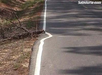Línea Carretera Mediocridad
