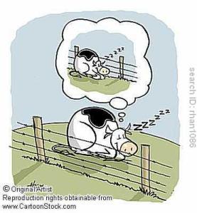 Vaca Soñando: Grama Más Verde