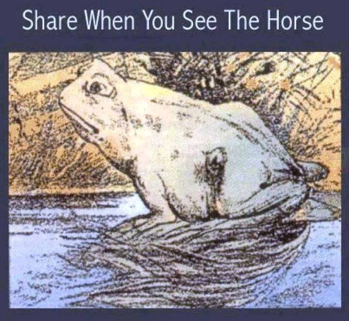 Horse Frog Illusion