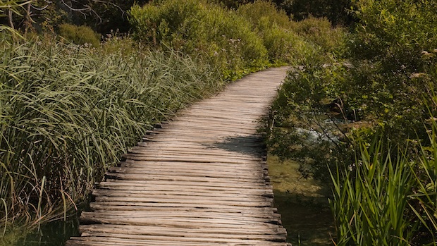 Image processed by CodeCarvings Piczard ### FREE Community Edition ### on 2015-07-22 14:45:50Z | http://piczard.com | http://codecarvings.com