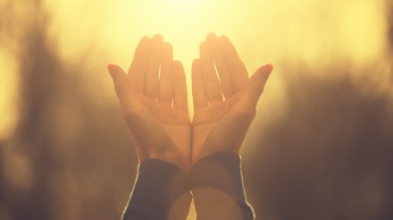 Image processed by CodeCarvings Piczard ### FREE Community Edition ### on 2017-01-03 15:22:54Z | http://piczard.com | http://codecarvings.com