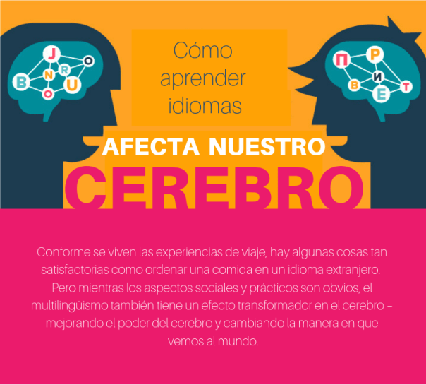 learning lenguage -1.png