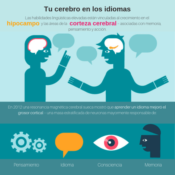 learning lenguage -2.png