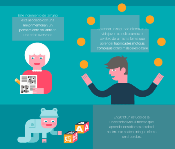 learning lenguage -3.png